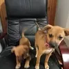 glennvoss873 - @glennvoss873 - TikTok