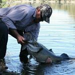 glen watts - @glenwatts7503 - Instagram
