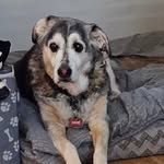 Glenn Weir - @glenn.weir.635 - Instagram
