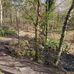 The Glen in Bridge of Weir - Facebook