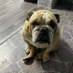 Glen Wheatley - @wheatley.glen - Instagram