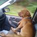 Glenn Whiting - Facebook
