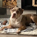 Glen Willsher - @glenwillsher - Instagram