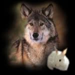 Glen (Wolf)  Reimer - @1_i_open_62 - Instagram