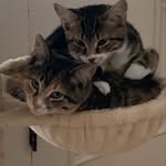 We are Sugar and Spice! - @wombleandglenn11 - Instagram