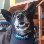 glen Wright - @glenwright5158 - Instagram