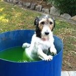Glenda Abbott - @glendygoo - Instagram