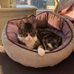 Glenda Mabbott - Facebook