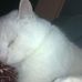 Glenda Akers - Facebook