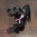 Glenda Arnold - Facebook