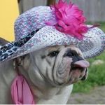 Glenda Arnold VanArsdale - @glendavanarsdale - Instagram