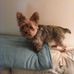 Glenda Beachley - Facebook