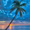 Glenda Johnson beach girl - @glenda.johnson.be - TikTok