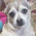 Glenda Beard - Facebook