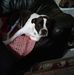 Glenda Berg - Facebook