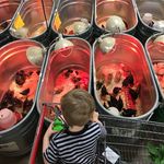 Glenda Bishop - @fwtx.glenda - Instagram