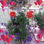 Glenda Bittner - Facebook