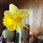 Glenda Bruner - @lydiahuffelbean - Instagram