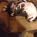 Glenda Bryant - Facebook