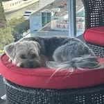 Glenda Burrows - @glenda.burrows.5 - Instagram