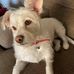 Glenda Burrows - Facebook