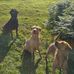 Glenda Burrows - Facebook