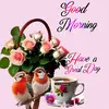 Glenda Carmichael - @behappy868 - TikTok