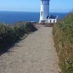 Glenda Conner - @glenda.conner.796 - Instagram