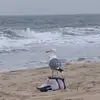 Glen Cottendale - @glen.cottendale - TikTok