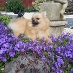 Glenda Cunningham - @glenda.cunningham.355 - Instagram