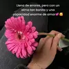 glendacu3rrrrrr - @glendacu3 - TikTok