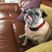 Glenda Davison - Facebook