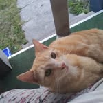 Glenda Dean - @glenda.dean.186590 - Instagram