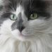 Glenda Dodd - Facebook