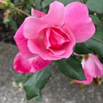 Glenda Ferrell Dodd - @glendakay - Instagram