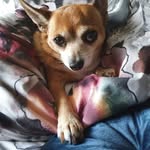Glenda Eldridge - @eldridge.glenda - Instagram