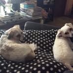 Glenda Eldridge - Facebook
