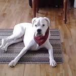 Glenda Gregory - @glenda_gregory - Instagram
