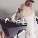 Glenda Gregory - @glendadelaney - Instagram