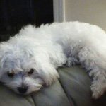 Glenda Hatcher - @glendahatcher8 - Instagram