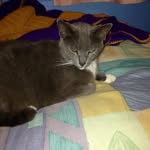 Glenda Hebert - @sage780 - Instagram
