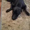 Glenda Hodges - @glenda.hodges - TikTok