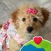 Glenda Helm - Facebook