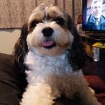 Glenda Hester - @glendahester53 - Instagram