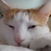 Glenda Pierce Hoffmann - Facebook