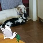 Glenda Hyde Younke - @hydeyounke - Instagram