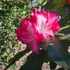 glendajeter - @glendajeter - TikTok