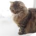 Glenda Lambert - Facebook