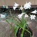 Glenda Lamkin - Facebook