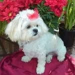 Glenda Cowan Markham - @markhamglenda - Instagram